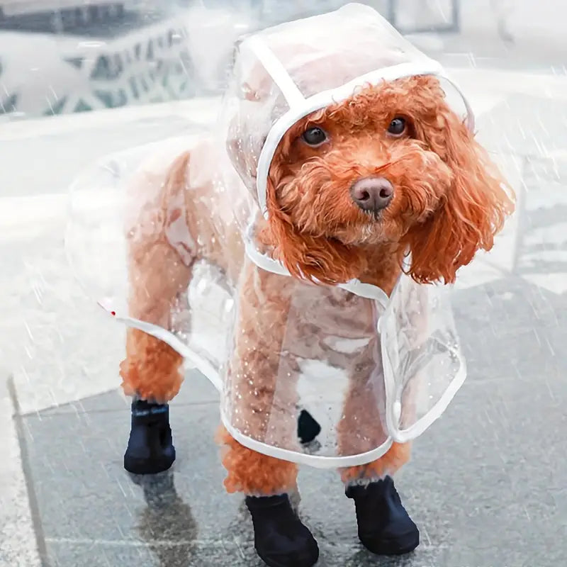 IMPERMEABLE TALLA L